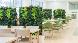 Особенности искусственного озеленения кафе и ресторана