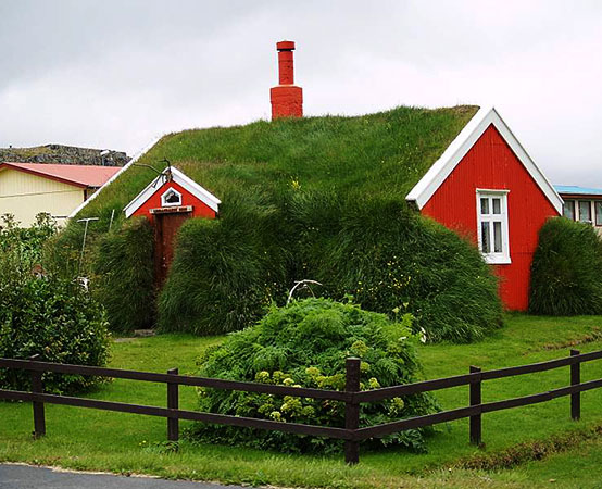 Трава для крыши