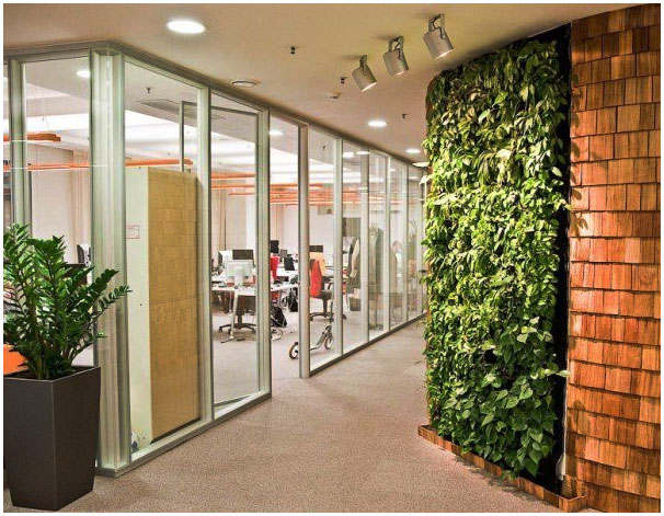 Вертикальное озеленение в просторных офисах